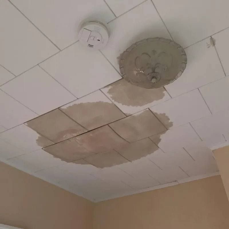 Ceiling Water Damage Repair in Baxley, GA